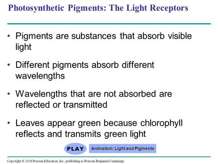 Photosynthetic Pigments: The Light Receptors Pigments are substances that absorb visible light Different pigments absorb different wavelengths Wavelengths.