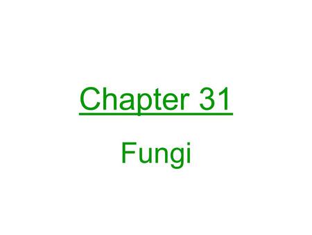 Chapter 31 Fungi.