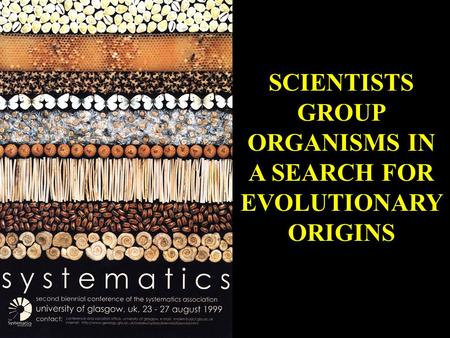 SCIENTISTS GROUP ORGANISMS IN A SEARCH FOR EVOLUTIONARY ORIGINS.
