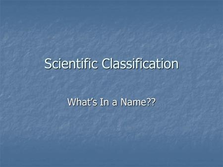 Scientific Classification What’s In a Name??. What are some ways you are classified? gender gender age age social security number social security number.