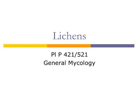 Lichens Pl P 421/521 General Mycology. Definitions  Lichen An association between a fungus and a photosynthetic partner  Mycobiont  The fungal partner.