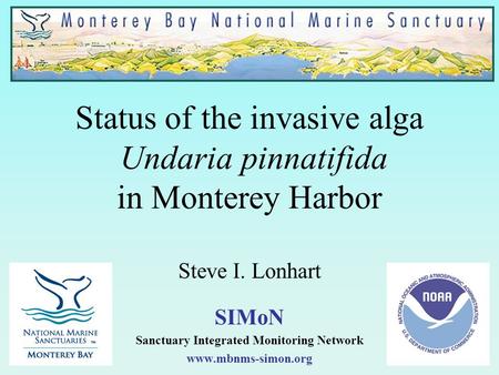 Status of the invasive alga Undaria pinnatifida in Monterey Harbor Steve I. Lonhart SIMoN Sanctuary Integrated Monitoring Network www.mbnms-simon.org.