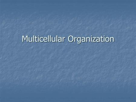 Multicellular Organization. I. Tissues, Organs, & Organ Systems a)Cells are organized into tissues (a group of cells that carry out a specific function)
