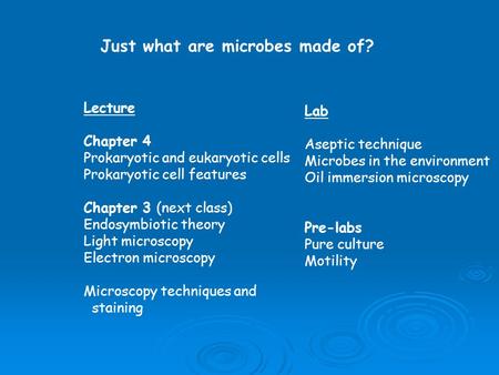 Just what are microbes made of? Lecture Chapter 4 Prokaryotic and eukaryotic cells Prokaryotic cell features Chapter 3 (next class) Endosymbiotic theory.