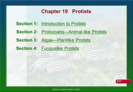 Chapter 19 Protists Section 1: Introduction to Protists