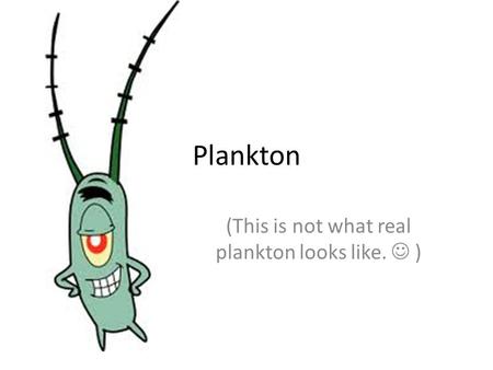 (This is not what real plankton looks like.  )