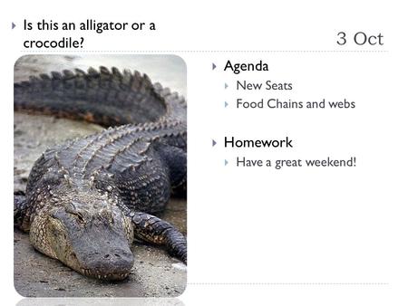 3 Oct  Is this an alligator or a crocodile?  Agenda  New Seats  Food Chains and webs  Homework  Have a great weekend!