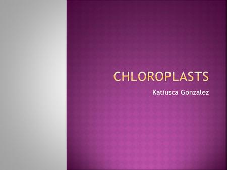 Katiusca Gonzalez.  Chloroplast- are organelles special units in a plant and algal cells  They conduct photosynthesis in plants, the photosynthetic.