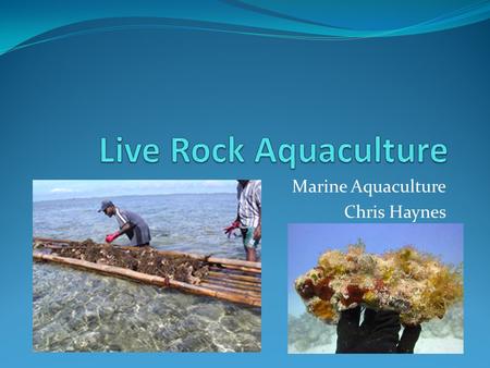 Marine Aquaculture Chris Haynes