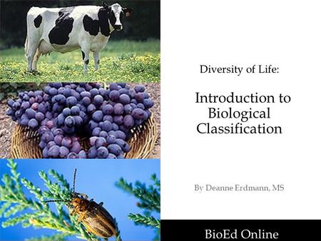 Diversity of Life: Introduction to Biological Classification By Deanne Erdmann, MS BioEd Online.