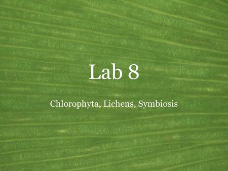 Lab 8 Chlorophyta, Lichens, Symbiosis. Green Plants Common name: Green plants Synonyms: Viridiplantae Mode of nutrition: Autotrophic; green chloroplasts.