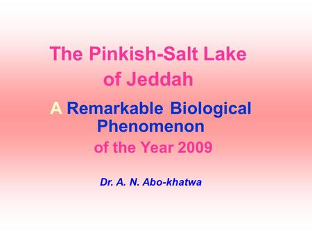The Pinkish-Salt Lake of Jeddah A Remarkable Biological Phenomenon of the Year 2009 Dr. A. N. Abo-khatwa.