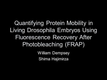 Quantifying Protein Mobility in Living Drosophila Embryos Using Fluorescence Recovery After Photobleaching (FRAP) William Dempsey Shima Hajimirza.