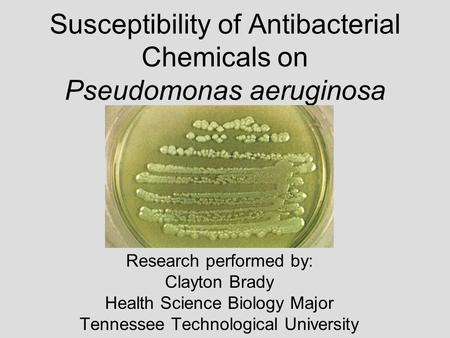 Susceptibility of Antibacterial Chemicals on Pseudomonas aeruginosa Research performed by: Clayton Brady Health Science Biology Major Tennessee Technological.