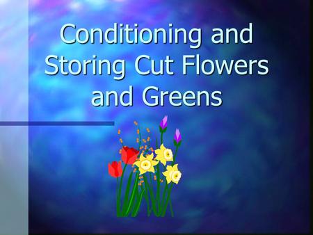 Conditioning and Storing Cut Flowers and Greens Long lasting flowers n important n pleases customer n happy customers return to the florist when they.