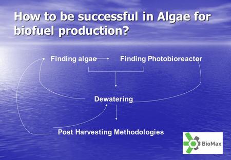 1 How to be successful in Algae for biofuel production? Finding algaeFinding Photobioreactor Dewatering Post Harvesting Methodologies.