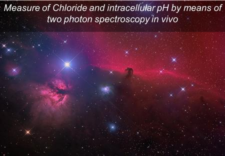 Measure of Chloride and intracellular pH by means of two photon spectroscopy in vivo.