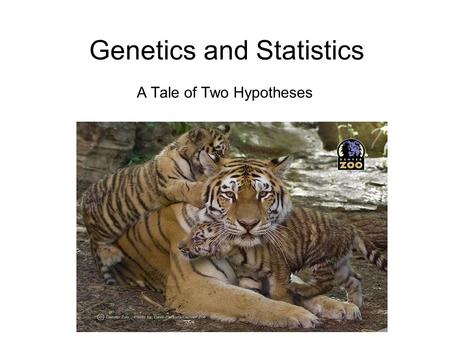 Genetics and Statistics