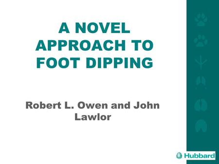 1 A NOVEL APPROACH TO FOOT DIPPING Robert L. Owen and John Lawlor.