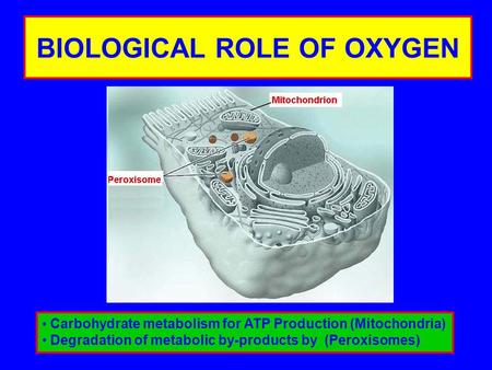 BIOLOGICAL ROLE OF OXYGEN
