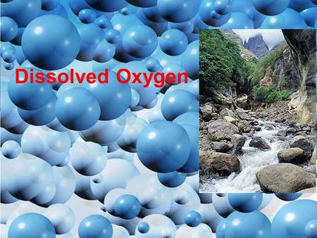 Dissolved Oxygen. Photosynthesis: Your one-stop shop for all of your oxygen needs! Carbon Dioxide (from air) Water (from ground) Oxygen (to air) Carbohydrate.