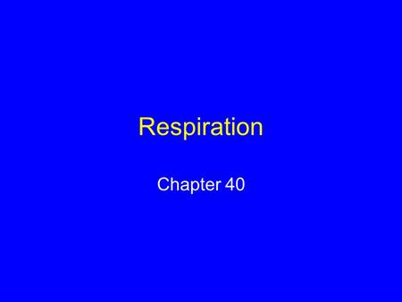 Respiration Chapter 40. Respiration Physiological process by which oxygen moves into internal environment and carbon dioxide moves out Oxygen is needed.