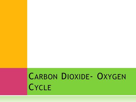 C ARBON D IOXIDE - O XYGEN C YCLE. ∞  Plants and animals are linked for survival through the carbon dioxide- oxygen cycle.