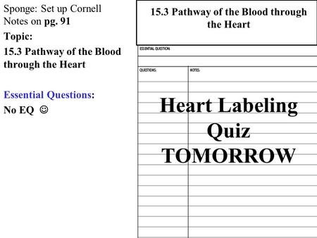 Heart Labeling Quiz TOMORROW