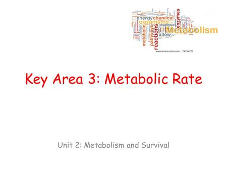 Key Area 3: Metabolic Rate Unit 2: Metabolism and Survival.