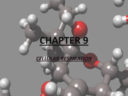 CHAPTER 9 CELLULAR RESPIRATION. 9-1 Chemical Pathways FOOD: Food is the main energy source of living things. One gram of the sugar glucose, when burned.