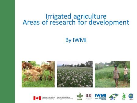 Minimum of 30 font size and maximum of 3 lines title By IWMI Irrigated agriculture Areas of research for development.