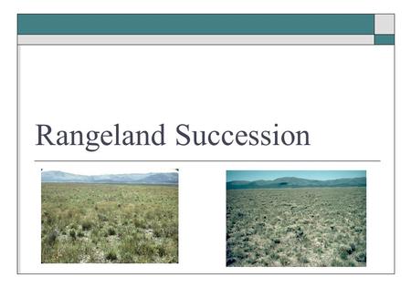 Rangeland Succession. Succession  The orderly change of plant communities over time.  The gradual replacement of one plant community by another through.