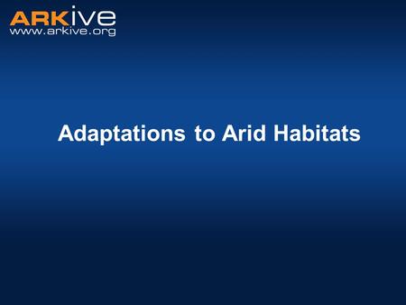 Adaptations to Arid Habitats