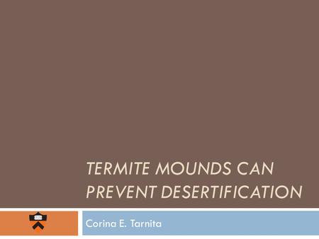 TERMITE MOUNDS CAN PREVENT DESERTIFICATION Corina E. Tarnita.