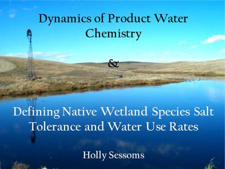 Dynamics of Product Water Chemistry & Defining Native Wetland Species Salt Tolerance and Water Use Rates Holly Sessoms.