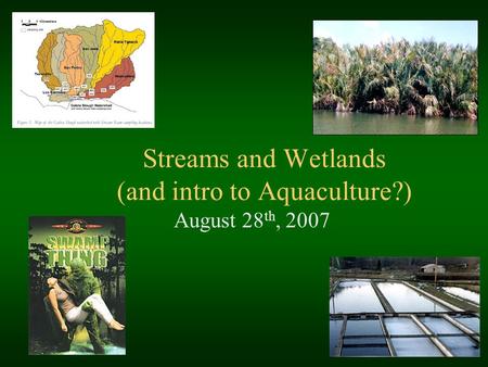 Streams and Wetlands (and intro to Aquaculture?) August 28 th, 2007.