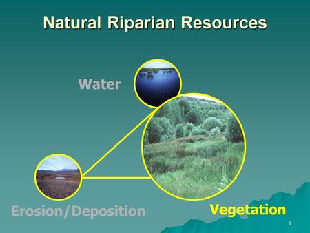 1 Natural Riparian Resources Erosion/Deposition Water Vegetation.
