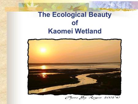 The Ecological Beauty of Kaomei Wetland. Contents  Introduction  Biogeocenose in Kaomei  Popular activities – Bird-Watching  Brain-Storming and Discussion.