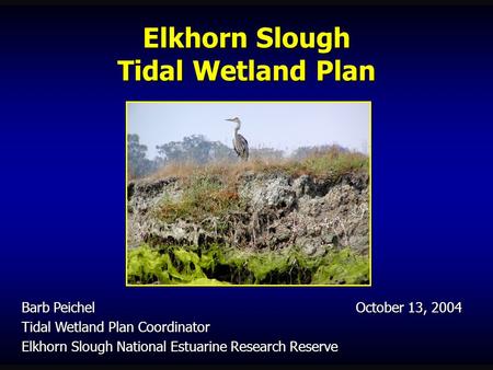 Elkhorn Slough Tidal Wetland Plan Barb Peichel October 13, 2004 Tidal Wetland Plan Coordinator Elkhorn Slough National Estuarine Research Reserve.