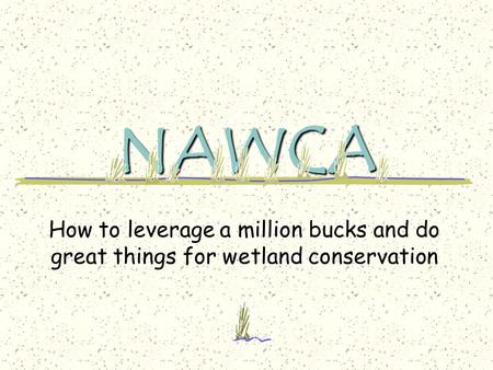 NAWCA How to leverage a million bucks and do great things for wetland conservation.