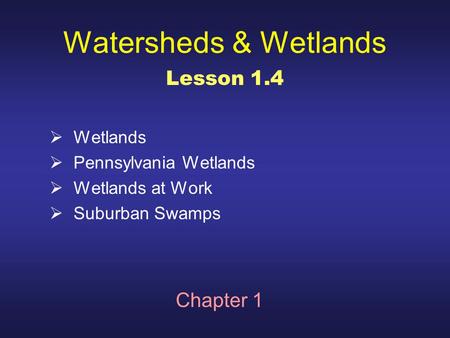 Watersheds & Wetlands  Wetlands  Pennsylvania Wetlands  Wetlands at Work  Suburban Swamps Chapter 1 Lesson 1.4.
