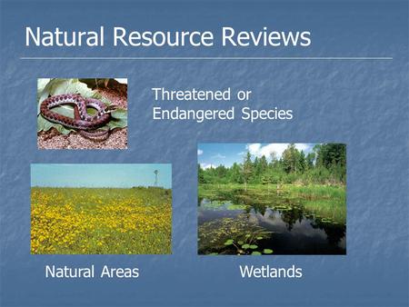 Natural Resource Reviews Threatened or Endangered Species Natural AreasWetlands.