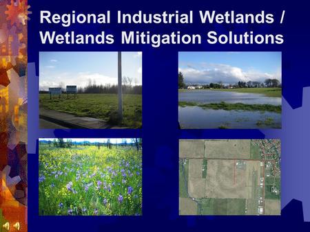 Regional Industrial Wetlands / Wetlands Mitigation Solutions.