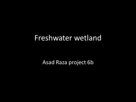 Freshwater wetland Asad Raza project 6b. Map of fresh water wetlands.