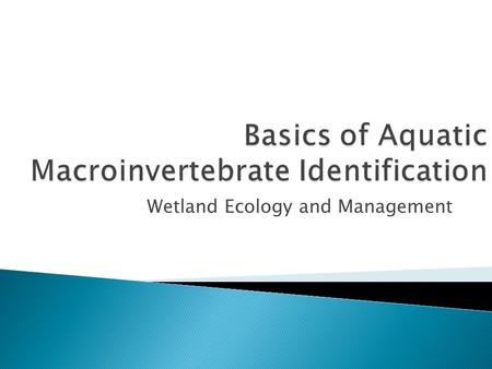 Wetland Ecology and Management.  Definition (PA Code, Chapter 93): ◦ Spend a “living portion of their life cycle” in an aquatic environment ◦ Can be.