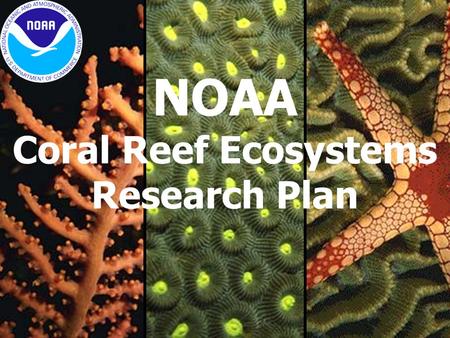 NOAA Coral Reef Ecosystems Research Plan. Identifies where and what kind of intervention is needed – mapping & assessment. Expands management options.