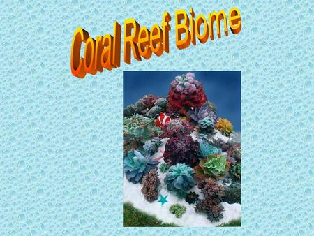 Introduction to Coral Reefs Coral reefs are amazing, natural wonders that live in the warm waters of the tropics, providing habitat for thousands of marine.