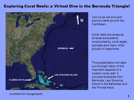Exploring Coral Reefs: a Virtual Dive in the Bermuda Triangle! Join us as we dive and explore reefs around the Caribbean. Coral reefs are amazing diverse.