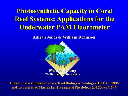 Photosynthetic Capacity in Coral Reef Systems: Applications for the Underwater PAM Fluorometer Adrian Jones & William Dennison Thanks to the students of.