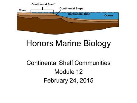 Honors Marine Biology Continental Shelf Communities Module 12 February 24, 2015.